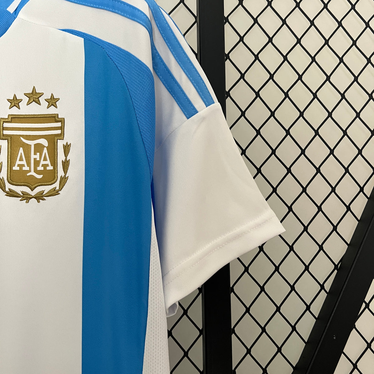 LOCAL 2024 · argentina · Vista y detalles