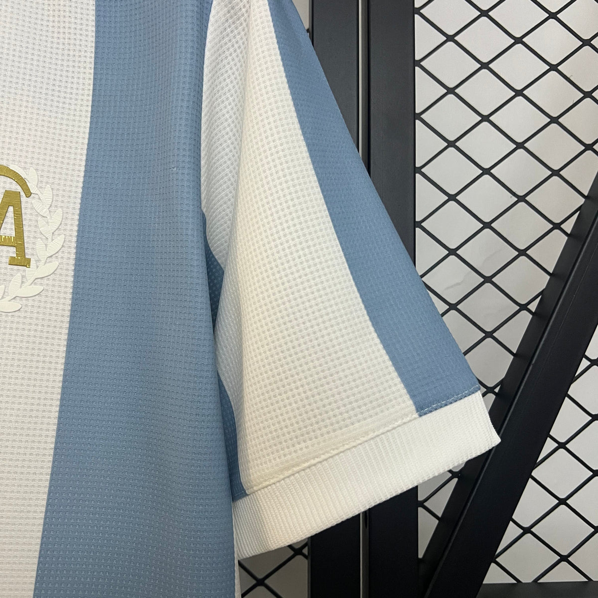 EDICIÓN ESPECIAL 2024 · argentina · Vista y detalles
