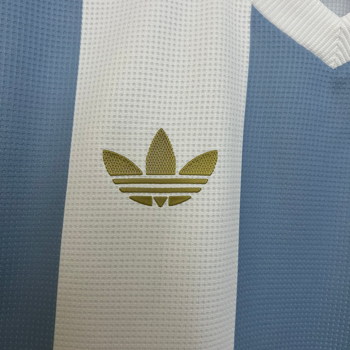 EDICIÓN ESPECIAL 2024 · argentina · Vista y detalles